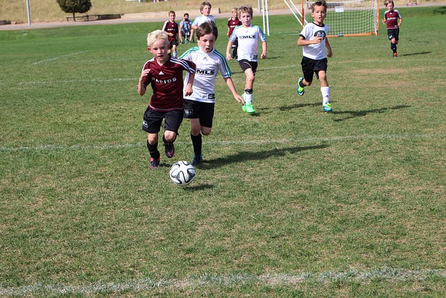 更多的群英 更多的群英