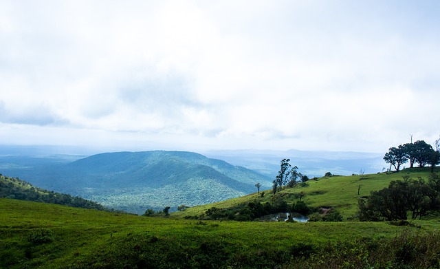 以下简称 以下简称