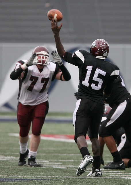 啟德體育園 啟德體育園