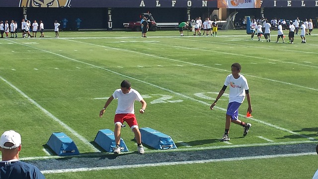 教练组和所 教练组和所